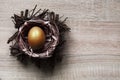 Single golden color egg in the nest Royalty Free Stock Photo