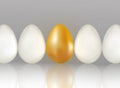 Single golden egg shines among ordinary white eggs. The concept of uniqueness. One row of eggs background with reflection. Realist