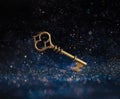 Single golden skeleton key surrounded by sparkling lights. Business concepts of unlocking potential, key to success, or financial