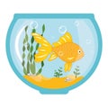 Single goldfish swimming in round glass bowl aquarium, cartoon Royalty Free Stock Photo