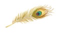 Single Graceful Peacock Feather with Subtle Tones, vector design Generative AI Royalty Free Stock Photo