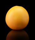 Single grapefruit isolated on black background