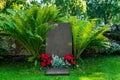 Single gravestone with large brake leaves and red flowers