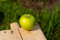 Single green apple on rustic wooden surface with grass in outdoor setting Royalty Free Stock Photo