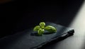 Single Green Basil Leaf on Slate Royalty Free Stock Photo