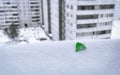 Single Green Birch Tree Leaf in the Snow on the Windowsill. Blurred Colorless High-Rise Residential Buildings in Background.