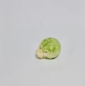 Single green Brussels sprout against plain white background with copyspace Royalty Free Stock Photo