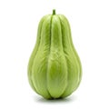 Single green chayote squash on white background Royalty Free Stock Photo