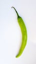 Single green chilli with white background