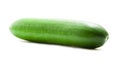 Single Green Cucumber