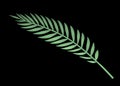A single green fern leaf laid diagonally across against a black backdrop