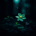 a single green flower in the dark forest Royalty Free Stock Photo