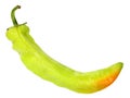 Single green fresh chilli-pepper Royalty Free Stock Photo