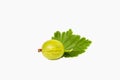 Single green fresh gooseberry with some leafs isolated on white background