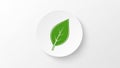 A single green leaf icon is centered on a white circular background Royalty Free Stock Photo