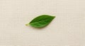 A single green leaf placed on a beige textured fabric background Royalty Free Stock Photo