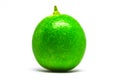 Single green lime Royalty Free Stock Photo