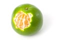 Single green Mandarin orange Royalty Free Stock Photo