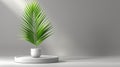 Single Green Palm Leaf in Minimalist White Pot on Display Stand Royalty Free Stock Photo