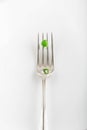 A single green pea on a silver Fork Royalty Free Stock Photo