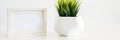 A single green plant against a blank white wall. Mockup frame. Grass in a geometric pot. An isolated object. Royalty Free Stock Photo