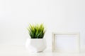 A single green plant against a blank white wall. Mockup frame. Royalty Free Stock Photo