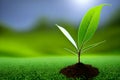 Single green sapling sprouting from the soil. Generative-AI