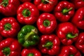 A single green sweet pepper surrounded by a group of red peppers.