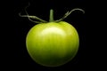 Single green tomato isolated on black background Royalty Free Stock Photo