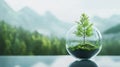 Single Green Tree in Glass Globe Capturing Natures Essence with Mountain View