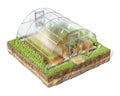 A single greenhouse building on a piece of ground, isolated on white background,