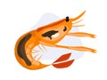 single Grilled Giant prawn . seafood cartoon vector illustration