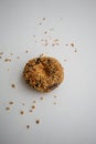 Single ground peanut coated on chocolate flour donut isolated on