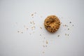 Single ground peanut coated on chocolate flour donut isolated on