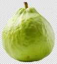Single Guava Fruit, Fresh Tropical Fruit, Vitamin C Source, Exotic Food, Isolated Royalty Free Stock Photo