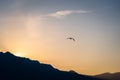 A single gull flying into the sunset with a mountain range in the background