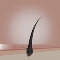 Single hair follicle - 3D illustration Royalty Free Stock Photo