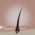 Single hair follicle - 3D illustration Royalty Free Stock Photo