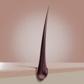 Single hair follicle - 3D illustration Royalty Free Stock Photo