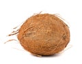 Single hairy coconut