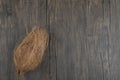 Single hairy hard coconut on wooden surface