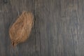 Single hairy hard coconut on wooden surface