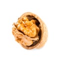 Single half-open walnut in close-up