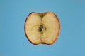 Single half sliced spoiled rotten apple close up macro shot isolated on blue Royalty Free Stock Photo