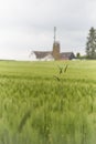 Single halmet in front field and church in backround Germany