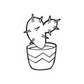 Single hand drawn cactus in pot. In doodle style, black outline isolated on white background. Cute element for card, social media Royalty Free Stock Photo