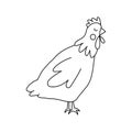 Single hand drawn chicken. Doodle vector illustration. Isolated on a white background. Clip art Royalty Free Stock Photo