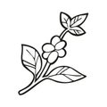 Single hand drawn coffee branch with berries and leaves. In doodle style, black outline isolated on a white background. Cute Royalty Free Stock Photo