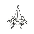 Single hand drawn house plant. In doodle style, black outline isolated on a white background. Cute element for card, social media Royalty Free Stock Photo