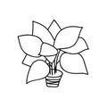Single hand drawn houseplant. Vector illustration in doodle style